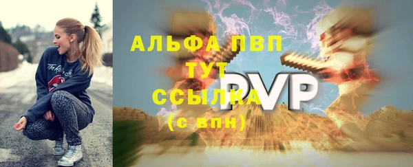 прущие крисы Бородино