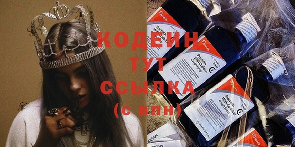 прущие крисы Бородино