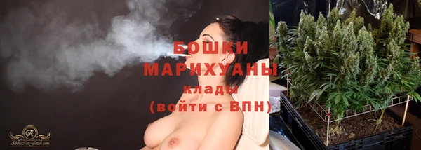 ПСИЛОЦИБИНОВЫЕ ГРИБЫ Бронницы