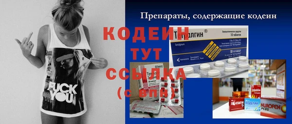 прущие крисы Бородино