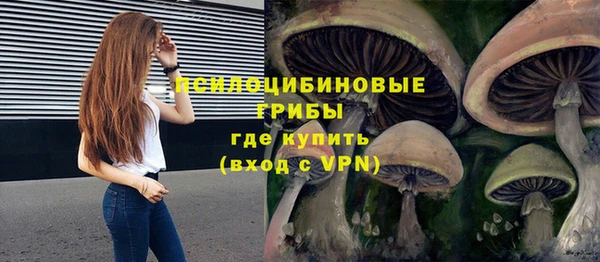 прущие крисы Бородино