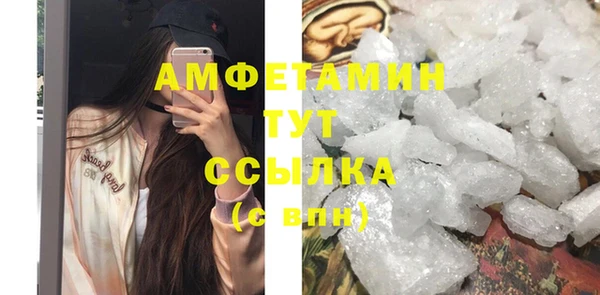 прущие крисы Бородино