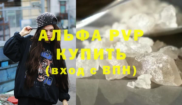 прущие крисы Бородино