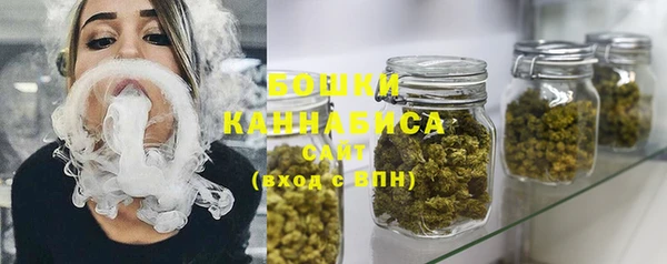 прущие крисы Бородино