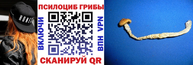 цены   Вельск  маркетплейс телеграм  Галлюциногенные грибы мухоморы 